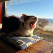 ヒメ日記 2026/03/16 20:20 投稿 める ぐっすり山田　名古屋店