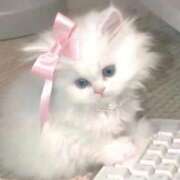 ヒメ日記 2025/12/08 23:32 投稿 ゆあ 萌えカワ