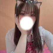 ヒメ日記 2026/01/31 13:10 投稿 ゆあ 萌えカワ