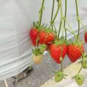 ヒメ日記 2026/05/08 00:20 投稿 おと ぐっすり山田　名古屋店