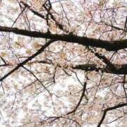 ヒメ日記 2026/05/14 08:39 投稿 おと ぐっすり山田　名古屋店