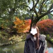 ヒメ日記 2025/11/03 18:20 投稿 しずく ぐっすり山田　名古屋店