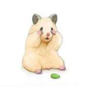 ヒメ日記 2025/11/21 19:46 投稿 しずく ぐっすり山田　名古屋店