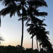 ヒメ日記 2025/10/12 09:30 投稿 さつき ぐっすり山田　名古屋店