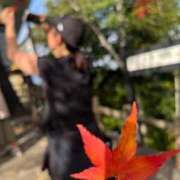 ヒメ日記 2025/11/18 22:50 投稿 さつき ぐっすり山田　名古屋店