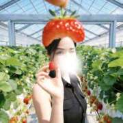 ヒメ日記 2026/04/05 02:35 投稿 あかり ぐっすり山田 横浜店