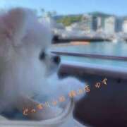 ヒメ日記 2025/10/04 12:55 投稿 ゆず ぐっすり山田 横浜店