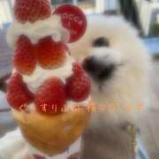 ゆず 今日の予定🗓 ぐっすり山田 横浜店