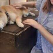 ヒメ日記 2025/10/31 18:15 投稿 かのん ぐっすり山田 横浜店