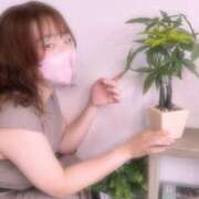 ヒメ日記 2025/10/16 09:55 投稿 せな ぐっすり山田 横浜店