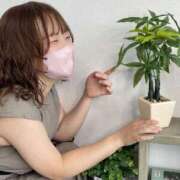 ヒメ日記 2025/10/21 09:35 投稿 せな ぐっすり山田 横浜店