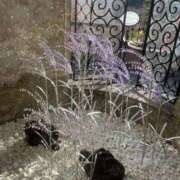 せな 💔 ぐっすり山田 横浜店