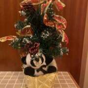 ヒメ日記 2025/12/22 15:55 投稿 せな ぐっすり山田 横浜店