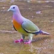 ヒメ日記 2025/12/18 08:05 投稿 れむ ぐっすり山田 横浜店