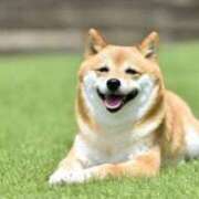 ヒメ日記 2026/01/17 16:35 投稿 れむ ぐっすり山田 横浜店