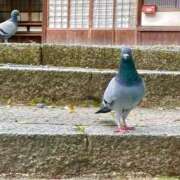 ヒメ日記 2026/01/19 18:35 投稿 れむ ぐっすり山田 横浜店