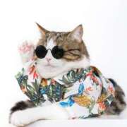 ヒメ日記 2026/01/20 16:22 投稿 れむ ぐっすり山田 横浜店