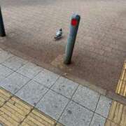 ヒメ日記 2026/01/21 11:25 投稿 れむ ぐっすり山田 横浜店