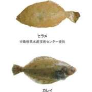 ヒメ日記 2026/01/21 16:45 投稿 れむ ぐっすり山田 横浜店