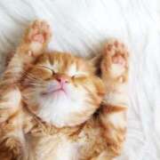 ヒメ日記 2026/02/22 14:35 投稿 れむ ぐっすり山田 横浜店