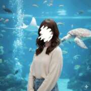 ヒメ日記 2025/12/04 12:05 投稿 ふみ ぐっすり山田 横浜店