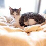 ヒメ日記 2026/01/14 03:25 投稿 りの ぐっすり山田 横浜店