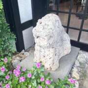 ヒメ日記 2026/03/09 00:05 投稿 りの ぐっすり山田 横浜店