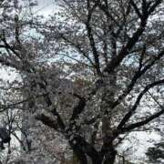 ヒメ日記 2026/03/27 18:35 投稿 りの ぐっすり山田 横浜店