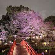 ヒメ日記 2026/04/02 02:25 投稿 りの ぐっすり山田 横浜店