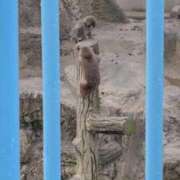 ヒメ日記 2026/07/11 11:05 投稿 りの ぐっすり山田 横浜店