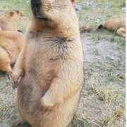 ヒメ日記 2025/10/12 12:26 投稿 さく ぐっすり山田 横浜店