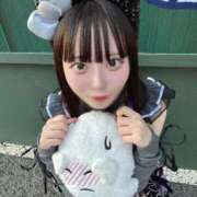 ヒメ日記 2025/10/07 10:01 投稿 うさぎ ドンファン