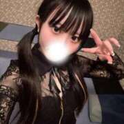 うさぎ お知らせ＆うさぴょん日記5 ドンファン