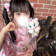 ヒメ日記 2026/06/25 16:57 投稿 うさぎ ドンファン