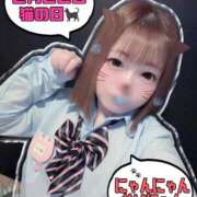 めい ⚠️お知らせ⚠️ ピュアコス学園