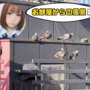 ヒメ日記 2026/05/13 18:00 投稿 めい ピュアコス学園