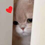 ヒメ日記 2026/03/26 12:11 投稿 りか ぐっすり山田 横浜店