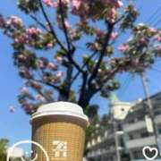 ヒメ日記 2026/04/12 13:15 投稿 りか ぐっすり山田 横浜店