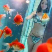 ヒメ日記 2026/08/11 09:05 投稿 りか ぐっすり山田 横浜店