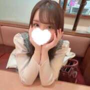 ヒメ日記 2026/04/01 19:27 投稿 まい Grace東京