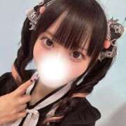 ヒメ日記 2025/10/17 15:50 投稿 うさぎ ヌーベル・マリエ