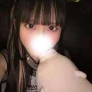 ヒメ日記 2025/10/18 22:43 投稿 うさぎ ヌーベル・マリエ