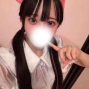 ヒメ日記 2026/07/01 08:15 投稿 うさぎ ヌーベル・マリエ