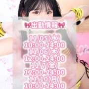 ヒメ日記 2025/10/27 11:06 投稿 せりか ハピネス東京 吉原店