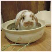 ヒメ日記 2025/03/30 13:23 投稿 なつ 素人妻御奉仕倶楽部Hip's松戸店