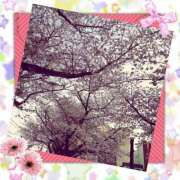 ヒメ日記 2025/04/09 17:38 投稿 なつ 素人妻御奉仕倶楽部Hip's松戸店