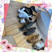 ヒメ日記 2025/08/04 15:36 投稿 なつ 素人妻御奉仕倶楽部Hip's松戸店