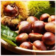 ヒメ日記 2025/11/07 15:09 投稿 なつ 素人妻御奉仕倶楽部Hip's松戸店