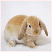 ヒメ日記 2025/12/10 10:29 投稿 なつ 素人妻御奉仕倶楽部Hip's松戸店