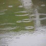 ヒメ日記 2026/03/25 16:40 投稿 なつ 素人妻御奉仕倶楽部Hip's松戸店